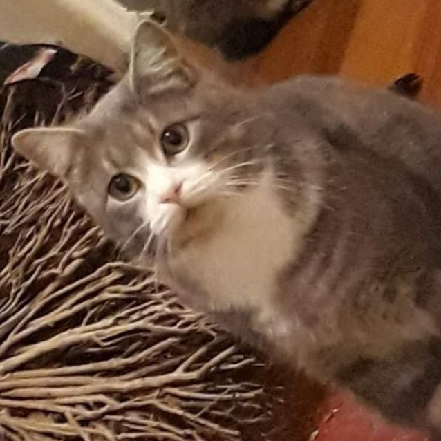 Photo of Rocketman 🚀🚀