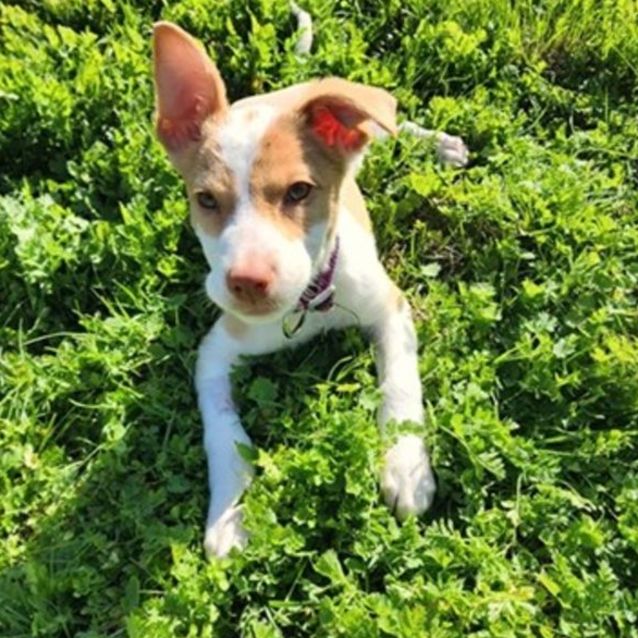 Photo of Hayley 