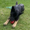 Photo of Allegro