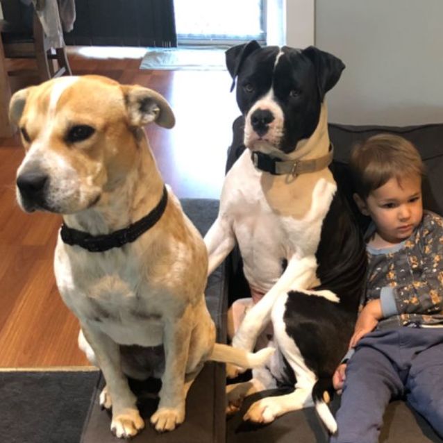 Photo of Lexi And George 