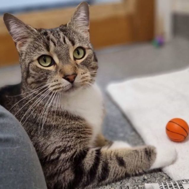 Photo of Jasper