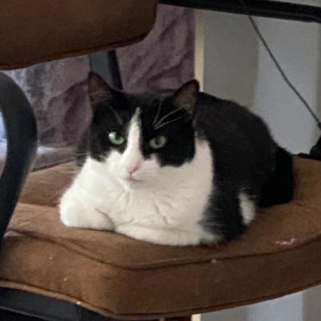 Photo of Geraldine 