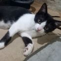 Photo of Lili