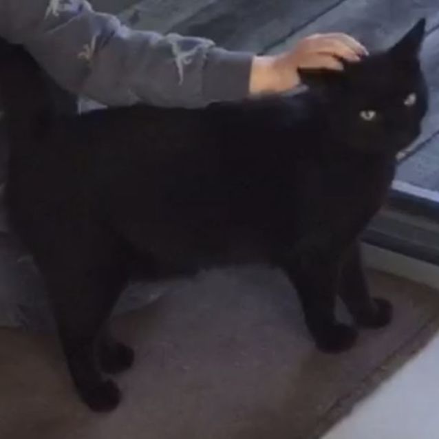 Photo of Freddie