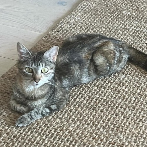 Mia 