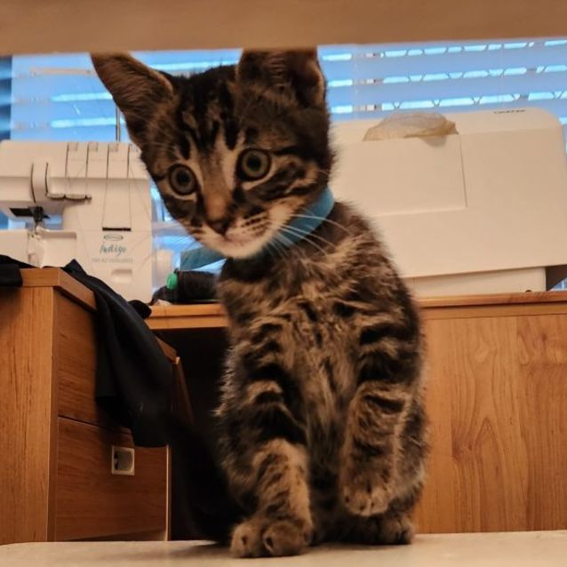 Photo of Ernie