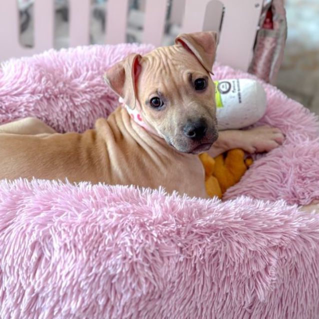 Photo of Pancake! 🥞😋 