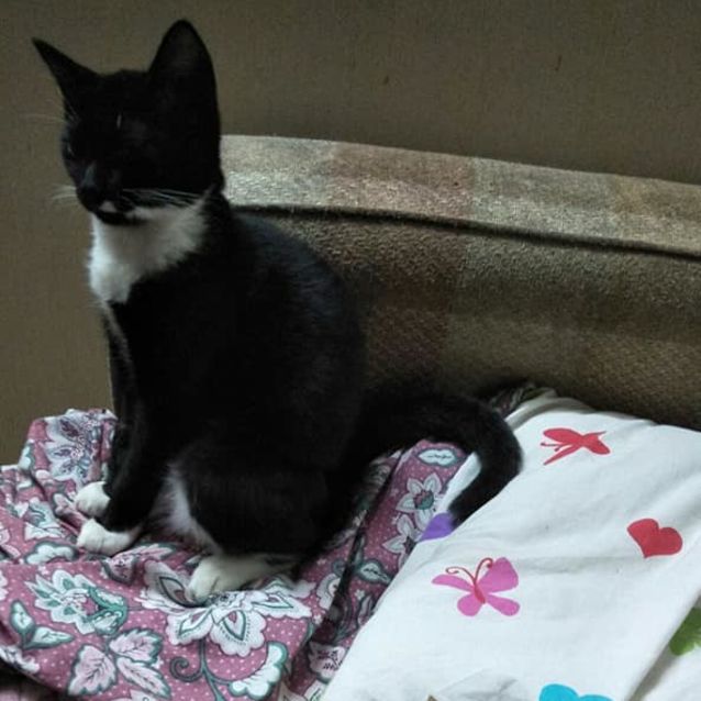 Photo of Ruby