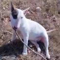 Photo of Wynnie