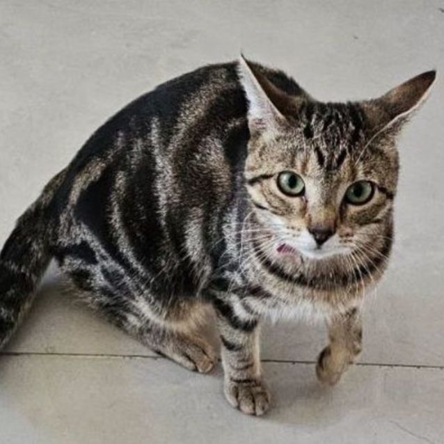 Photo of Boots