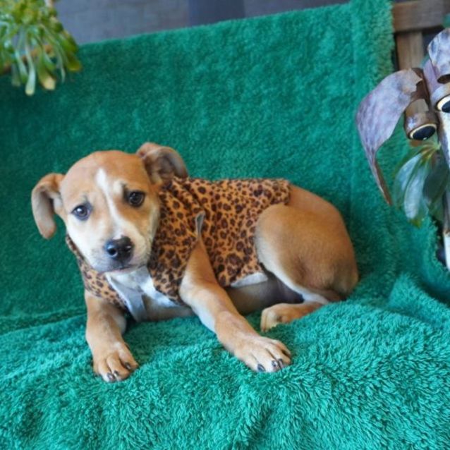 Photo of Annie