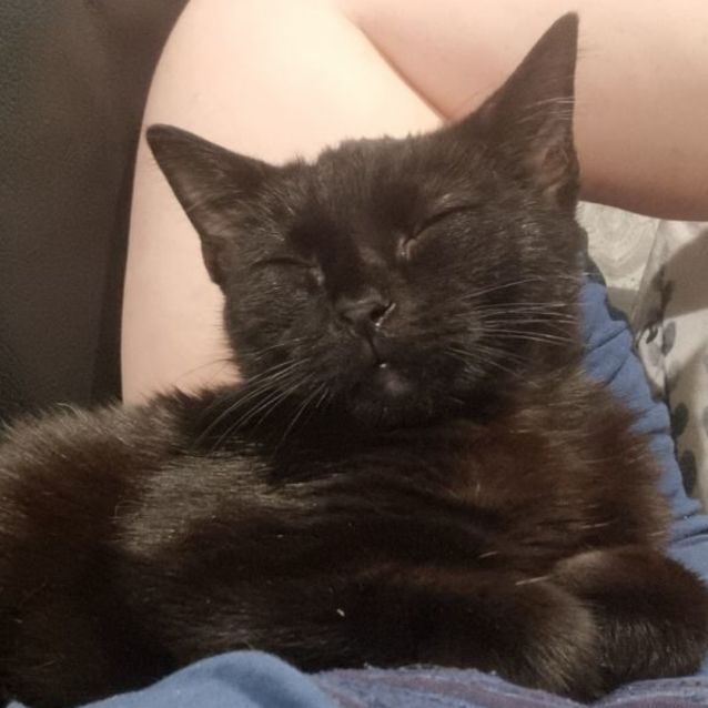 Photo of ❤️ Eclipse ❤️ 