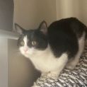 Photo of Maggie May