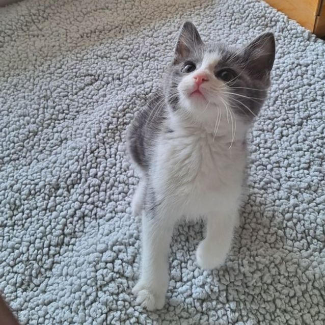 Photo of Angelo & Kosta