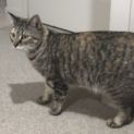 Photo of Astrid
