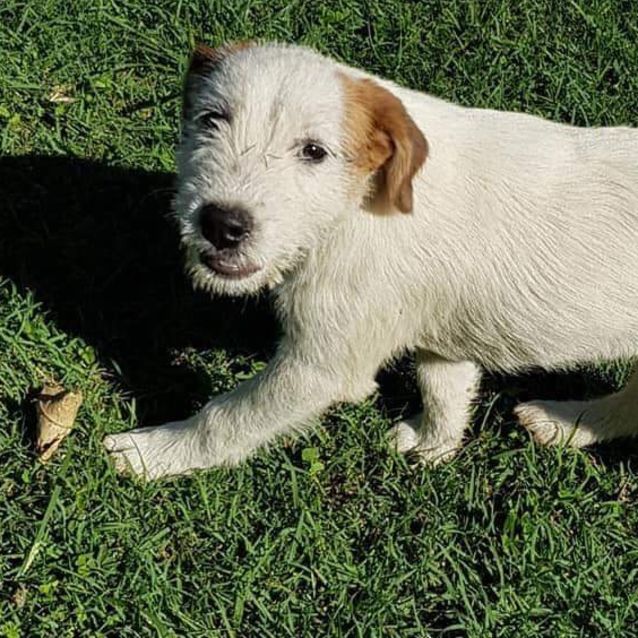 Photo of Storm