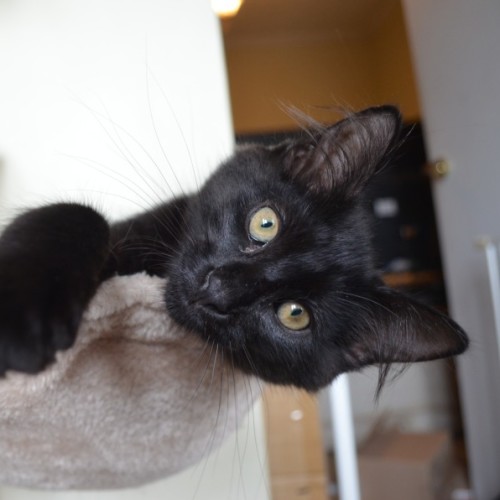 Sebastian