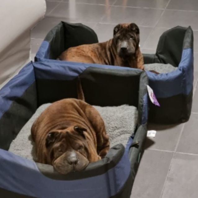 Photo of Tess And Bruce 