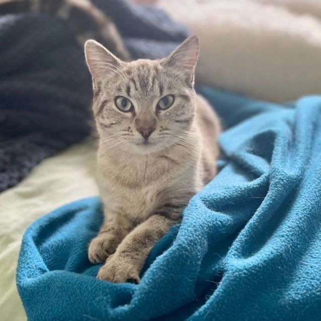 Photo of Peaches