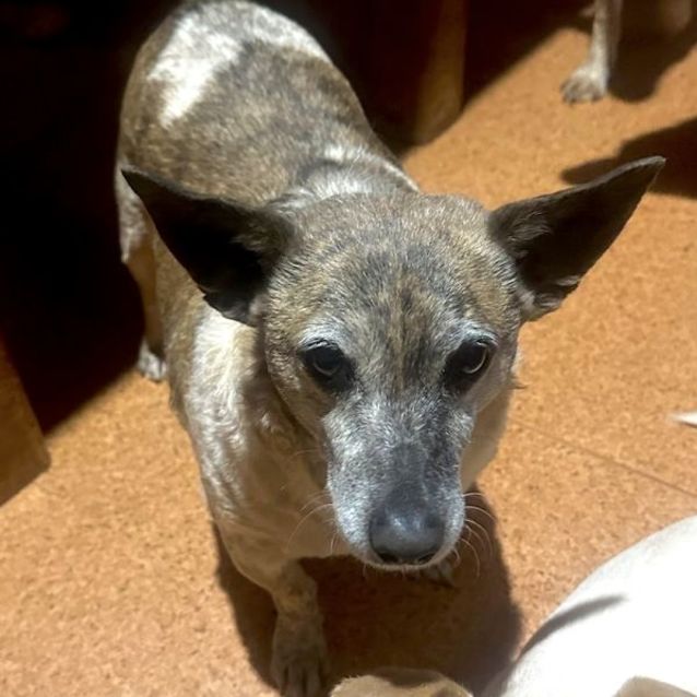 Photo of Peggy