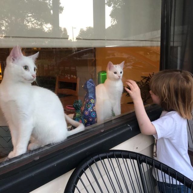 Photo of Marie & Olaf 🌺😺