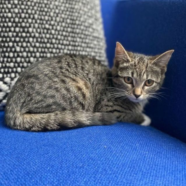 Photo of Charlie