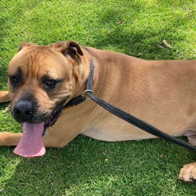 Photo of Zeke Dl2868