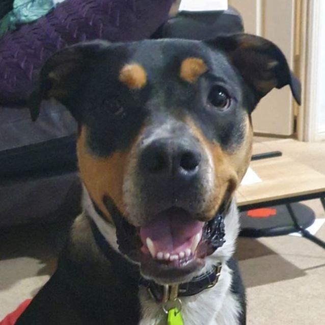 Photo of Sugar Kaine