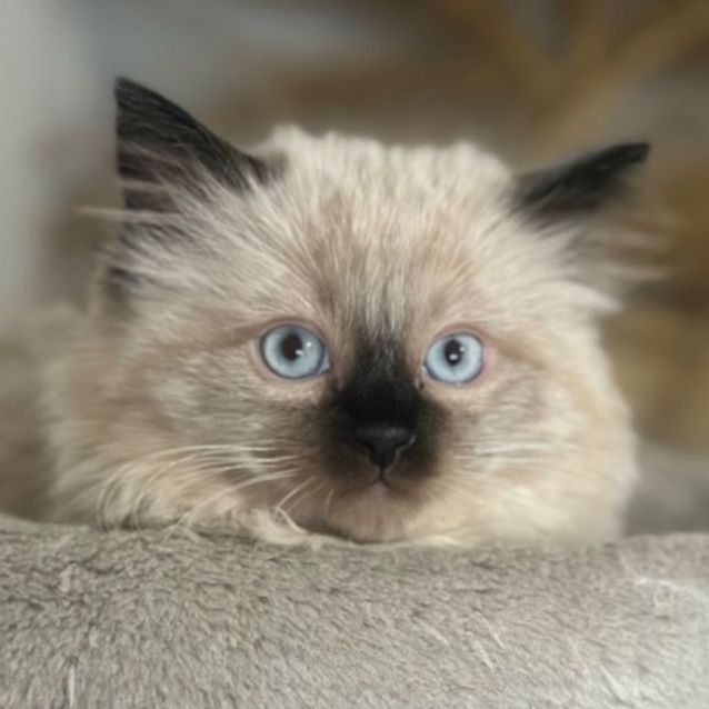 Photo of Kai 😻💙