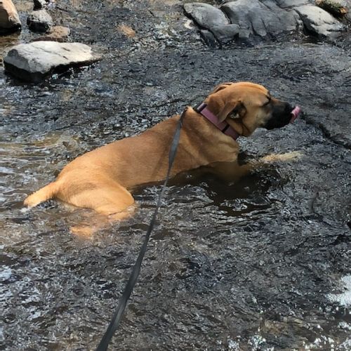 Roxy