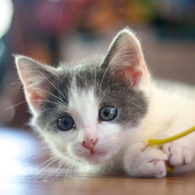 Photo of ❤️ Cj ❤️