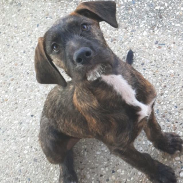 Photo of Wilma