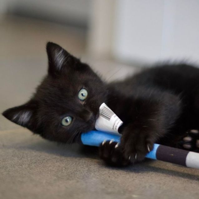 Photo of 💙 Moonlight 💙