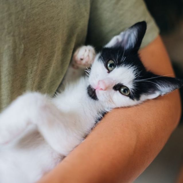 Photo of Soy And Sushi 