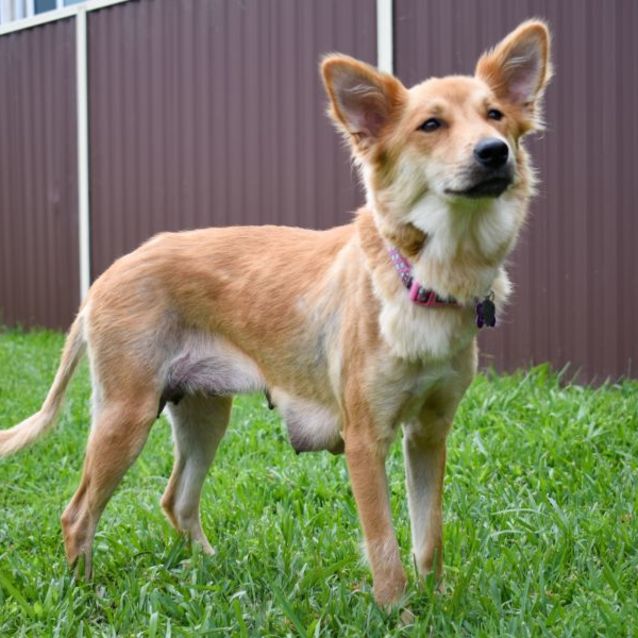 Photo of Sophia Spud