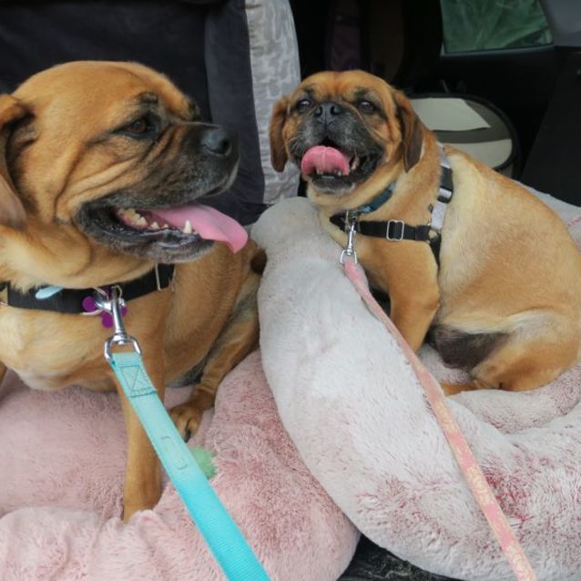 Photo of Lily And Spike