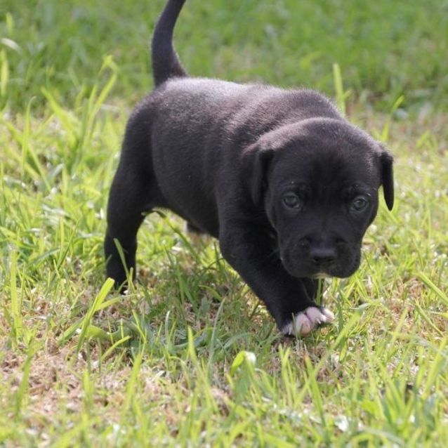 Photo of Haru