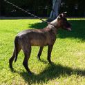 Photo of Rylie