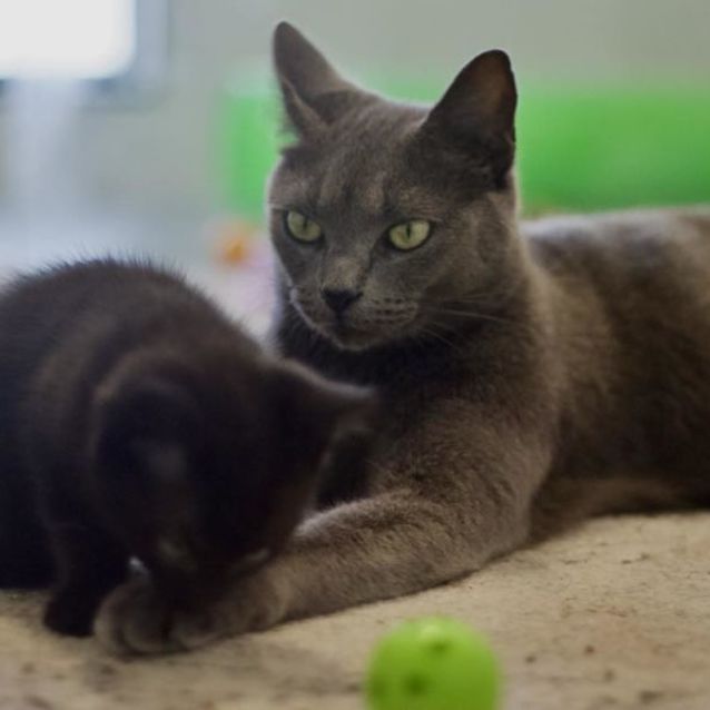 Photo of ⭐️ Stormy ⭐️