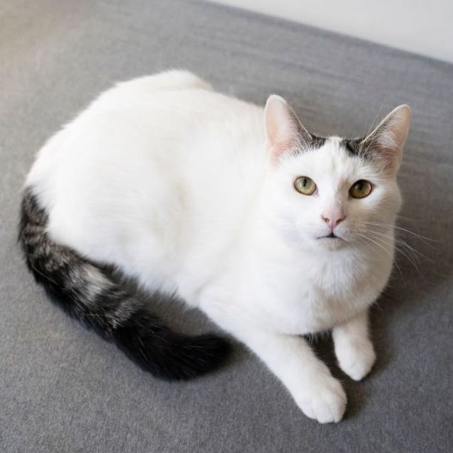 Photo of 💜 Calvin 💜