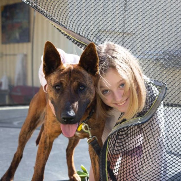 Photo of Max