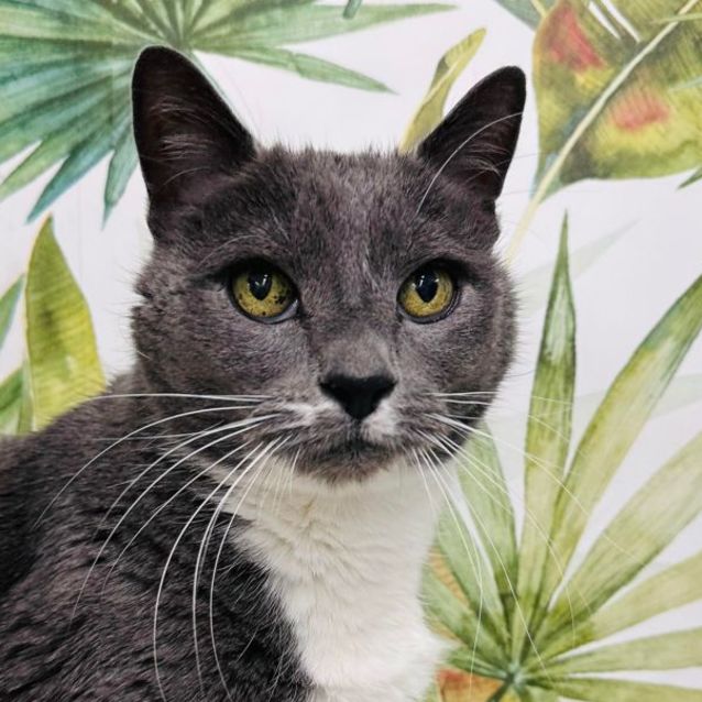 Photo of Carl   Located In Preston