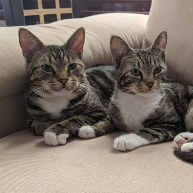 Photo of Olaf And Billy 