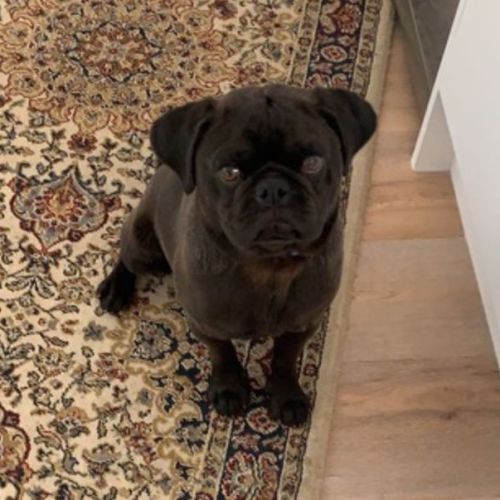 Milo