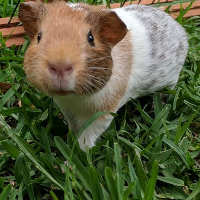 Photo of Wanda & Mildred