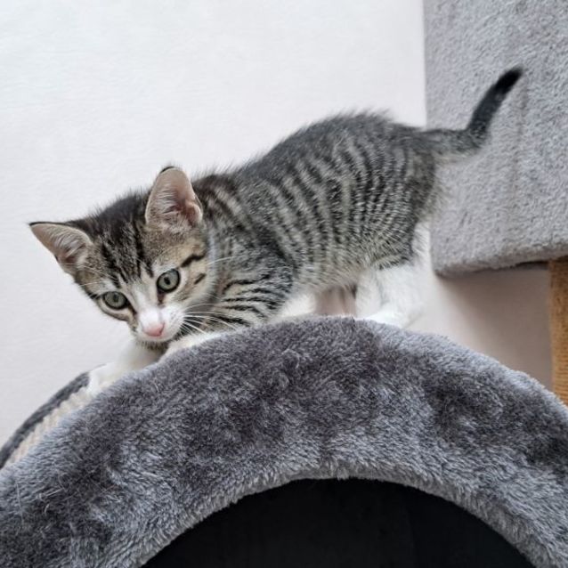 Photo of Natalie (0059)