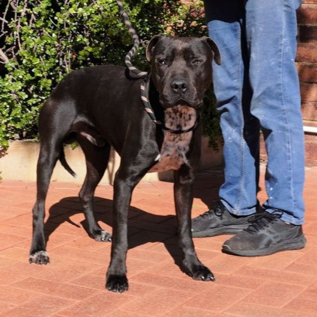 Photo of Reggie