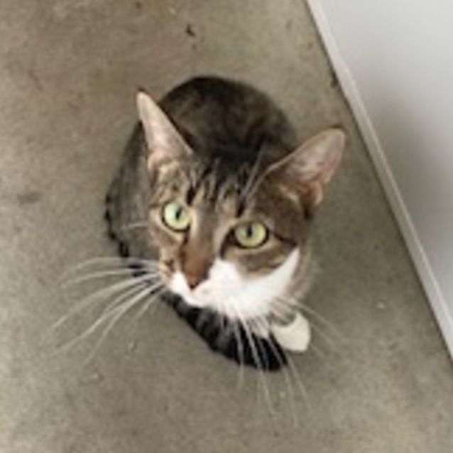 Photo of C995 Tabitha