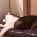 Photo of Roxy Dl2183