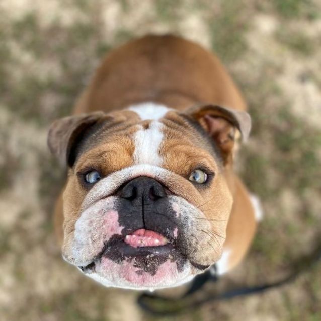 Photo of Gorgeous George